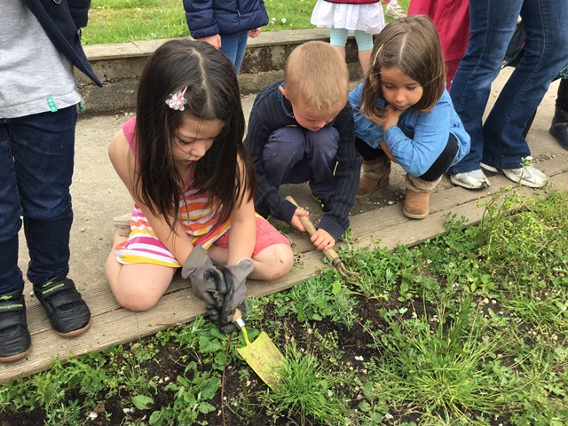 MS/GS B : Tous au potager