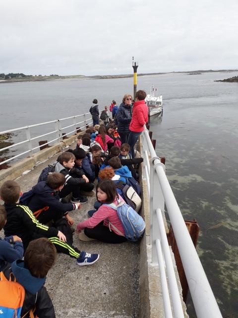 CE2 : Un tour à l’île de Batz