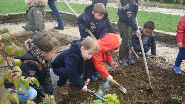 MS/GS A : Nettoyage du potager