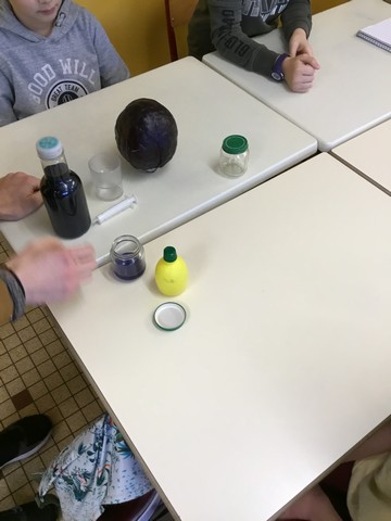 CE2/CM1/CM2 : Des sciences en classe